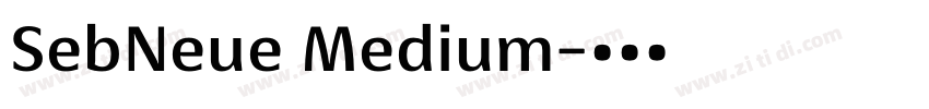 SebNeue Medium字体转换